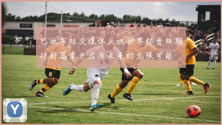 巴坎布社交媒体庆祝世界杯晋级期待新篇章开启与未来的无限可能